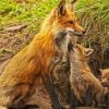 Fox Family Paint By Numbers