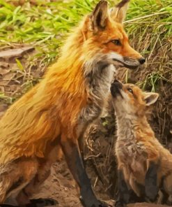 Fox Family Paint By Numbers