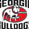 Georgia Bulldogs Football Logo Paint By Numbers