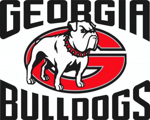 Georgia Bulldogs Football Logo Paint By Numbers