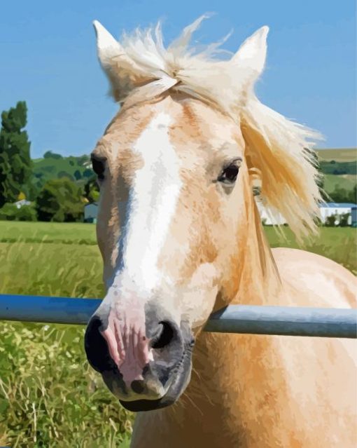 Golden Mare Horse Head Paint By Numbers