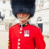 Grenadier Guard Paint By Numbers