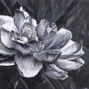 Grey White Flower Paint By Numbers