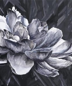 Grey White Flower Paint By Numbers