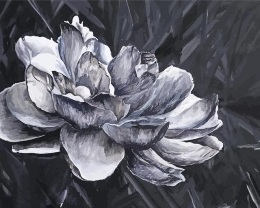 Grey White Flower Paint By Numbers