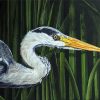 Grey Heron Head Art Paint By Numbers