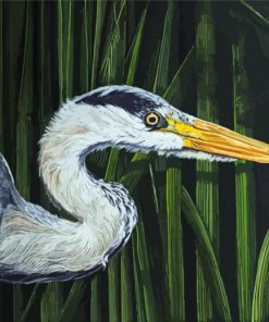 Grey Heron Head Art Paint By Numbers