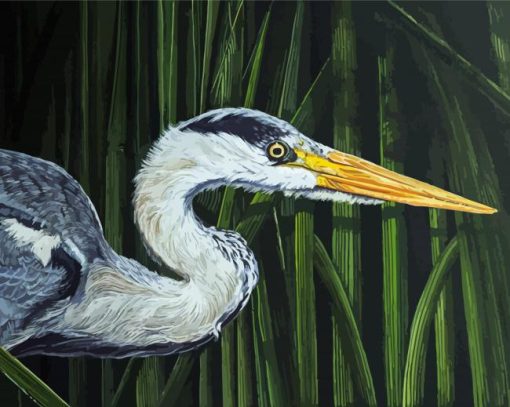 Grey Heron Head Art Paint By Numbers