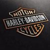 Harley Davidson Logo Paint By Numbers