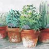 Herb Plant Pots Paint By Numbers