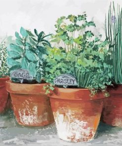 Herb Plant Pots Paint By Numbers