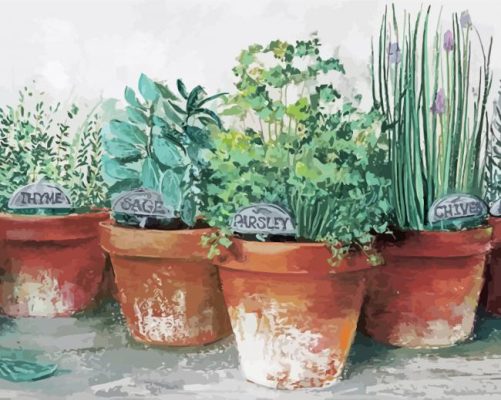 Herb Plant Pots Paint By Numbers