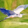 Heron Flying Paint By Numbers