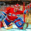 Hockey Goalie Art Paint By Numbers