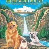 Homeward Bound Movie Poster Paint By Numbers