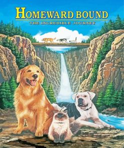 Homeward Bound Movie Poster Paint By Numbers