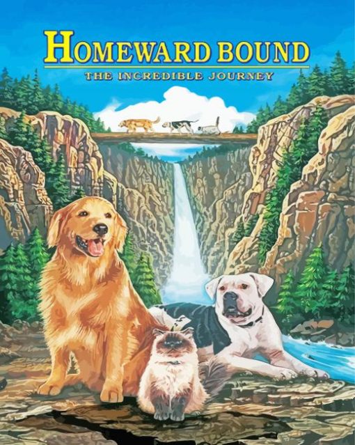 Homeward Bound Movie Poster Paint By Numbers