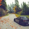 Honda S2000 On Forest Road Paint By Numbers