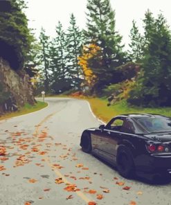 Honda S2000 On Forest Road Paint By Numbers