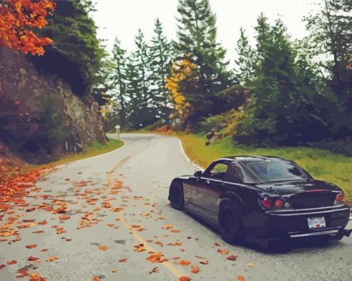 Honda S2000 On Forest Road Paint By Numbers