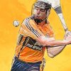 Hurling Player Art Paint By Numbers