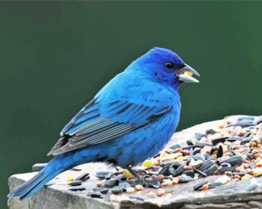 Indigo Bunting Bird Eating Paint By Numbers