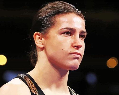 Katie Taylor Paint By Numbers