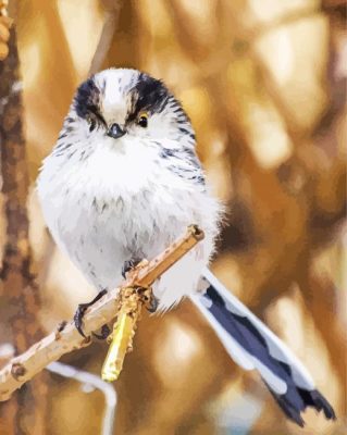 Long Tailed Tit Bird Paint By Numbers