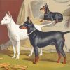 Manchester Terriers With White Terrier Paint By Numbers