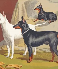 Manchester Terriers With White Terrier Paint By Numbers