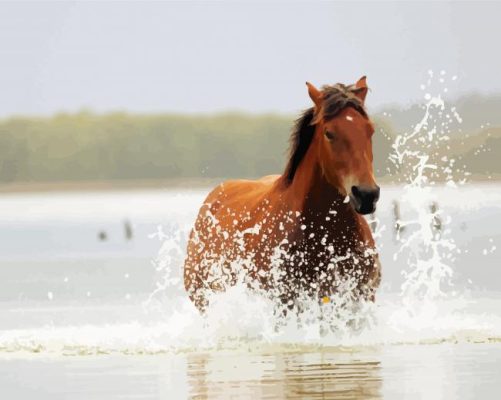 Mare Horse In Water Paint By Numbers