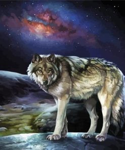 Midnight Wolf Animal Paint By Numbers