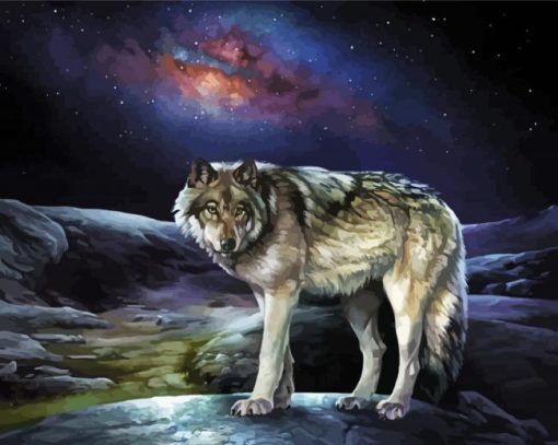 Midnight Wolf Animal Paint By Numbers