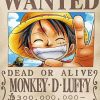 Monkey D Luffy One Piece Wanted Paint By Numbers