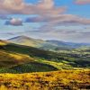 Mount Leinster Paint By Numbers