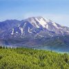 Mount St Helens Washington Paint By Numbers