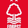 Nottingham Forest FC Paint By Numbers