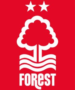 Nottingham Forest FC Paint By Numbers