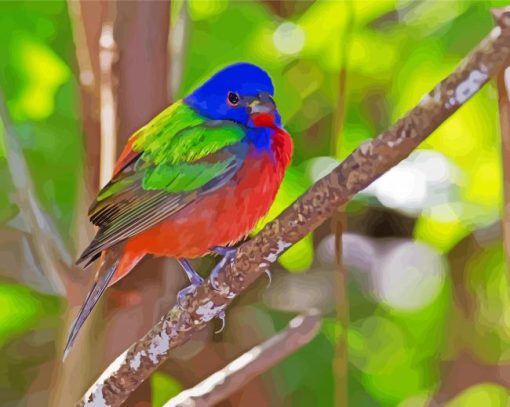 Painted Bunting Bird Paint By Numbers