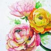 Peonies And Ranunculus Flowers Art Paint By Numbers