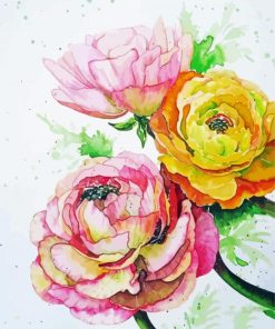 Peonies And Ranunculus Flowers Art Paint By Numbers