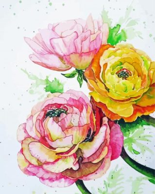 Peonies And Ranunculus Flowers Art Paint By Numbers