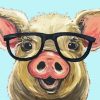 Pig Glasses Paint By Numbers