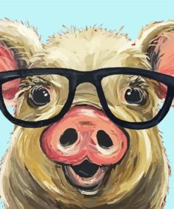 Pig Glasses Paint By Numbers