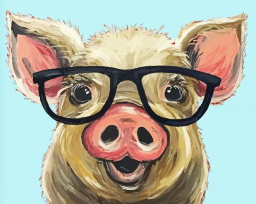 Pig Glasses Paint By Numbers