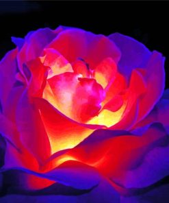 Pink Glowing Rose Paint By Numbers