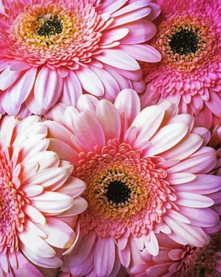 Pink Sunflowers Paint By Number