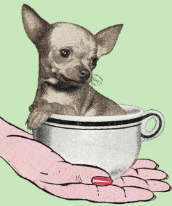 Pop Art Dog In A Teacup Paint By Numbers