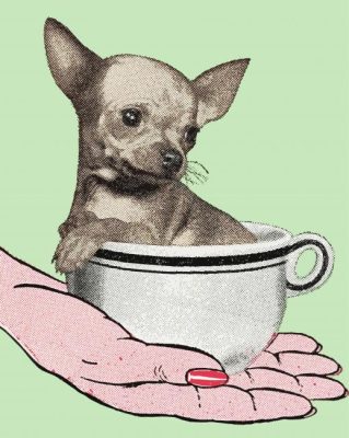 Pop Art Dog In A Teacup Paint By Numbers