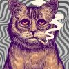 Psychedelic Cat Smoking Paint By Numbers